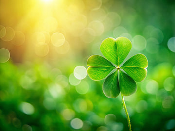 4 Leaf Clover Club